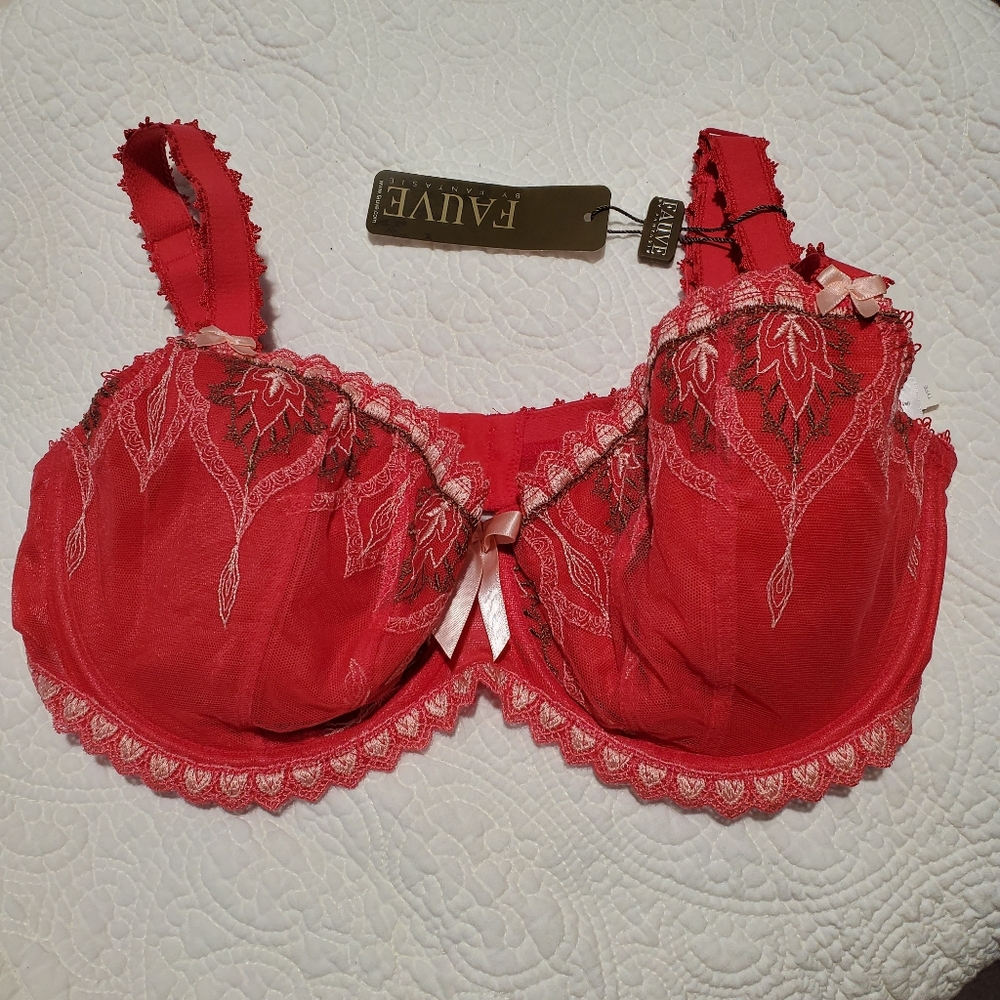 NOS Fauve by Fantasie Red Embroidered Lace Bra, Sz 34F
